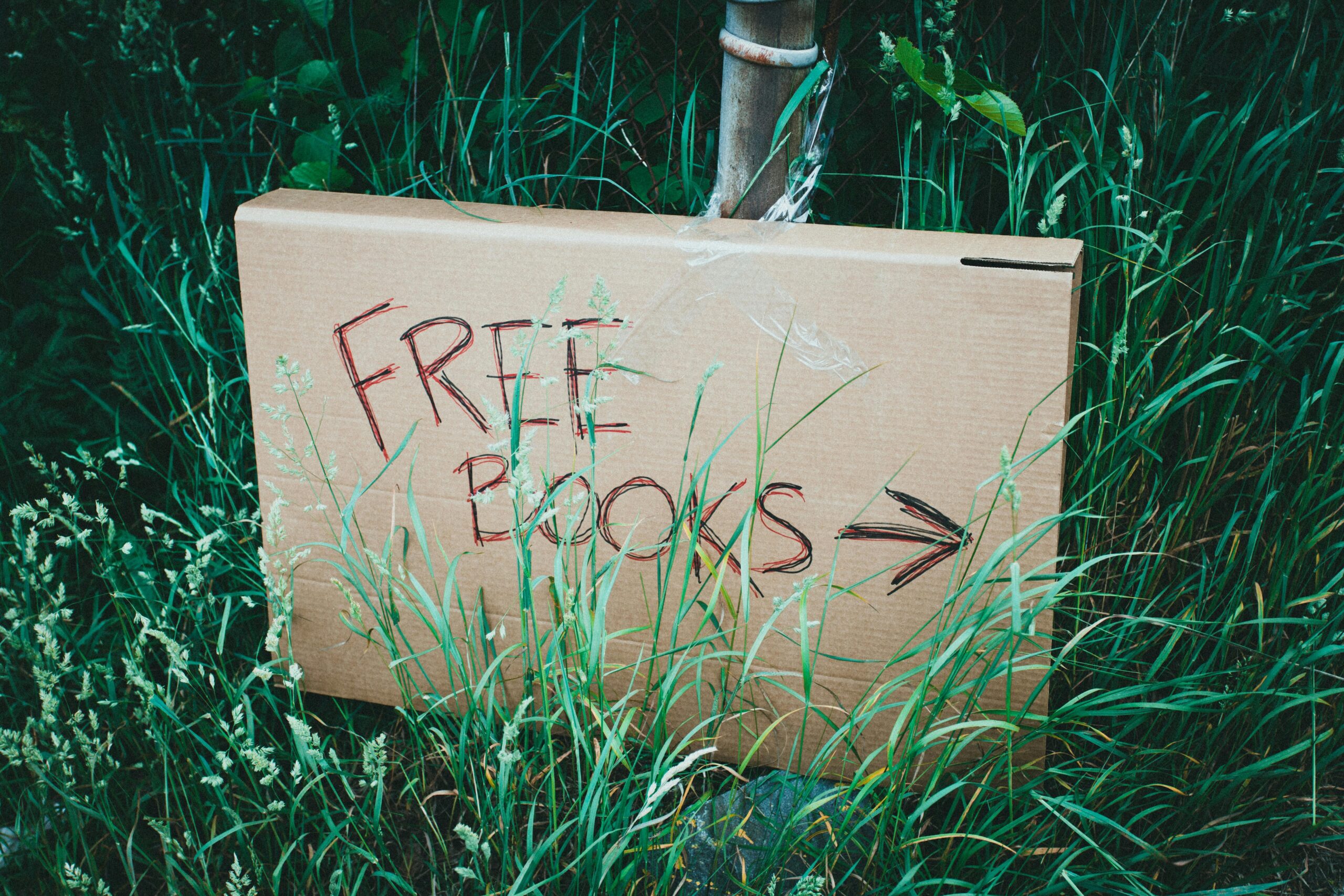 A cardboard sign with 'Free Books' handwritten, placed among green grass outdoors promoting book exchange.